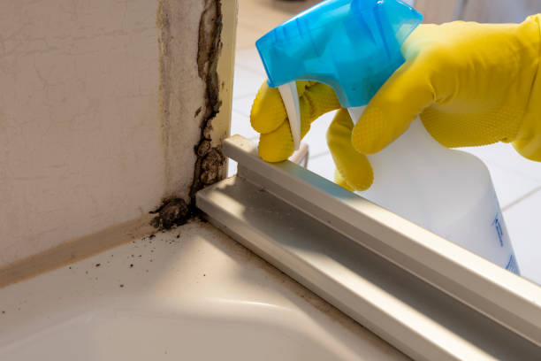 Best Residential Mold Removal  in Uniontown, OH