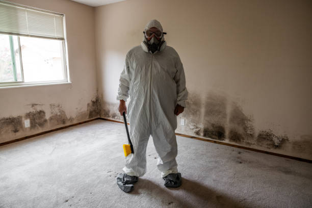 Best Certified Mold Removal  in Uniontown, OH